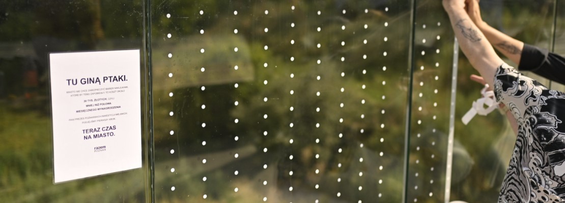 bragment szklanej barietki mostów berdychowskich z naklejonymi naklejkami w formie biąłych kropek oraz kartką z napisam Tu ginął ptaki i logiem Razem Poznań